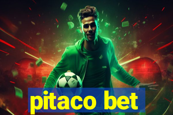 pitaco bet