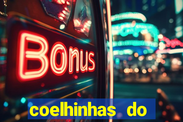 coelhinhas do brasil acompanhantes