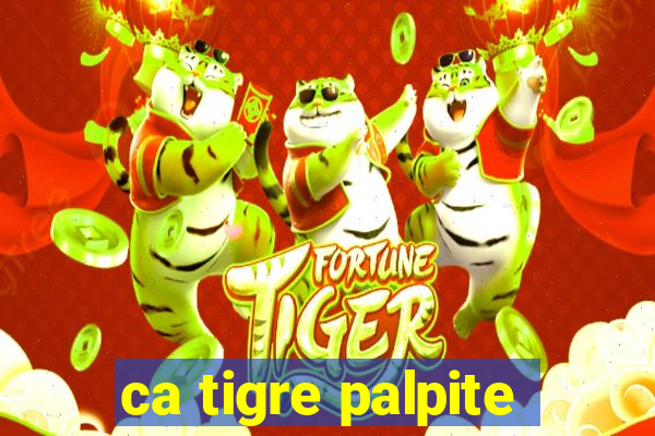 ca tigre palpite