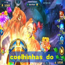 coelhinhas do brasil recife