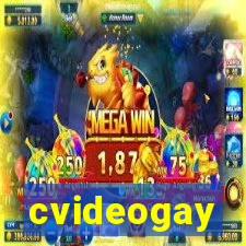 cvideogay