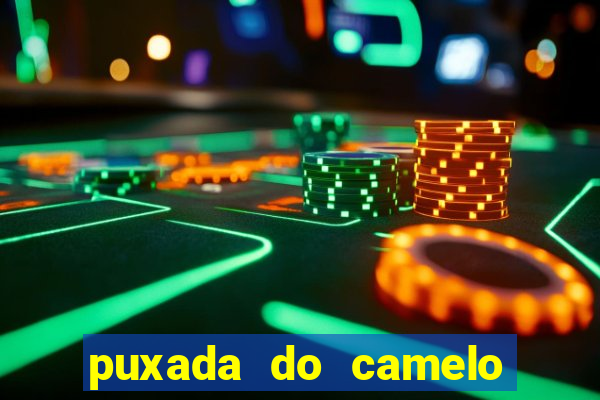 puxada do camelo jogo do bicho