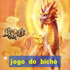 jogo do bicho crash bingo